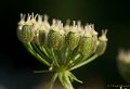 Natuurtuin t Loo